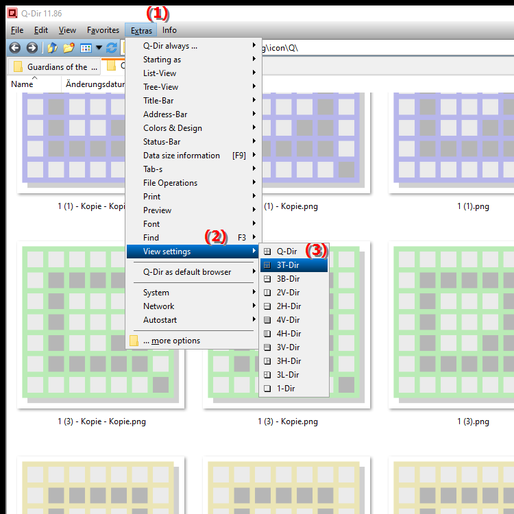 What does the 3T Dir view offer in the quad file explorer Q Dir